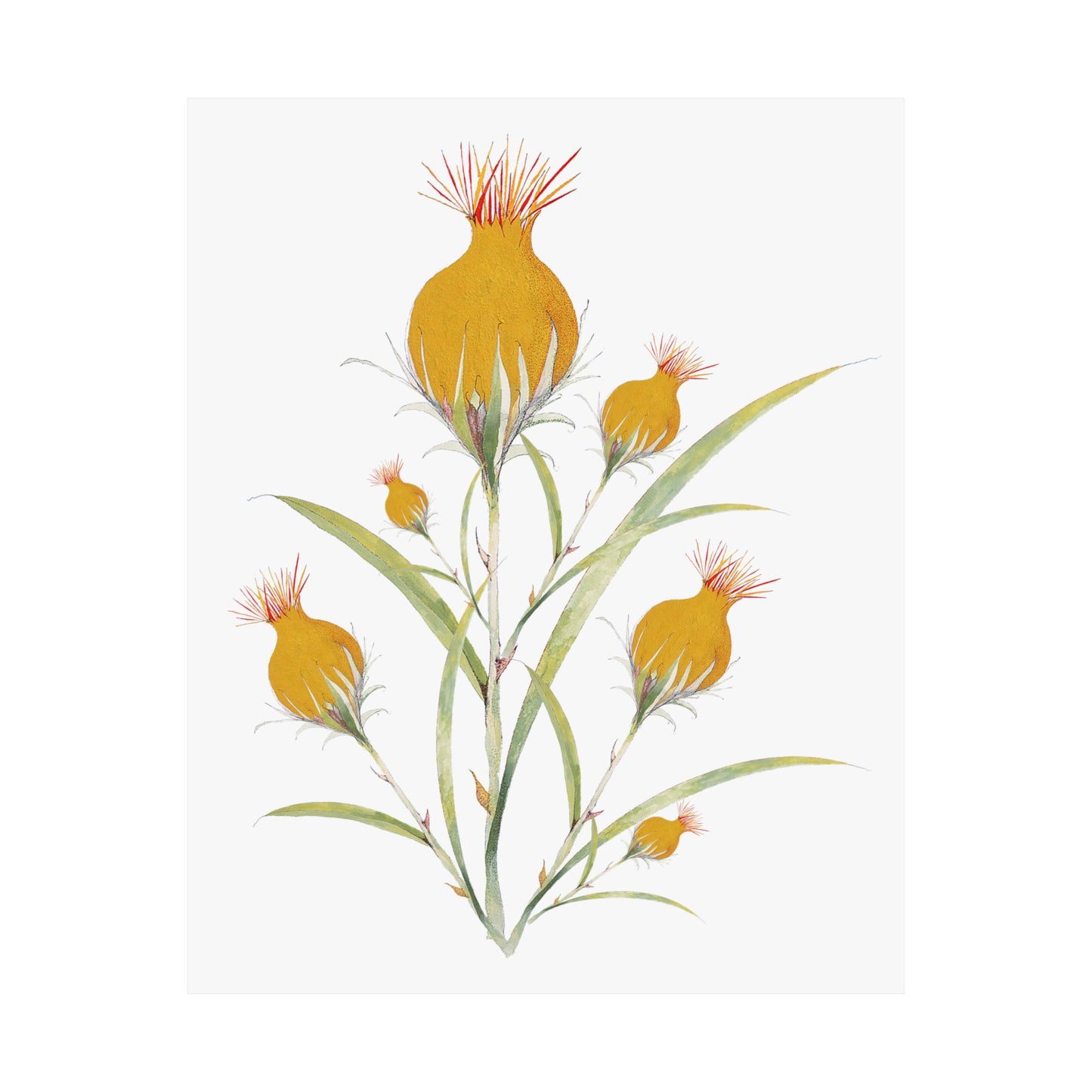 July Bud-Matte Vertical Posters