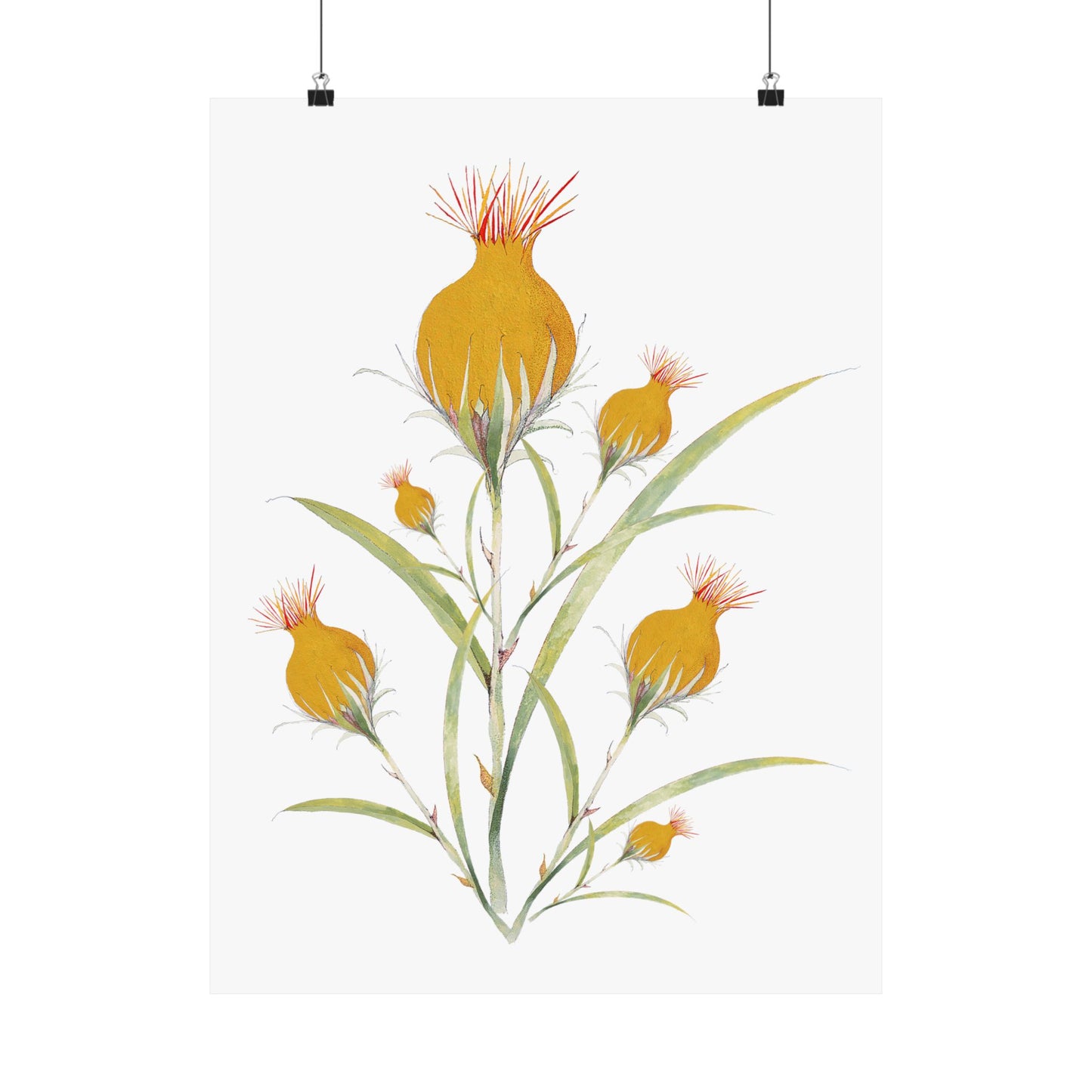 July Bud-Matte Vertical Posters