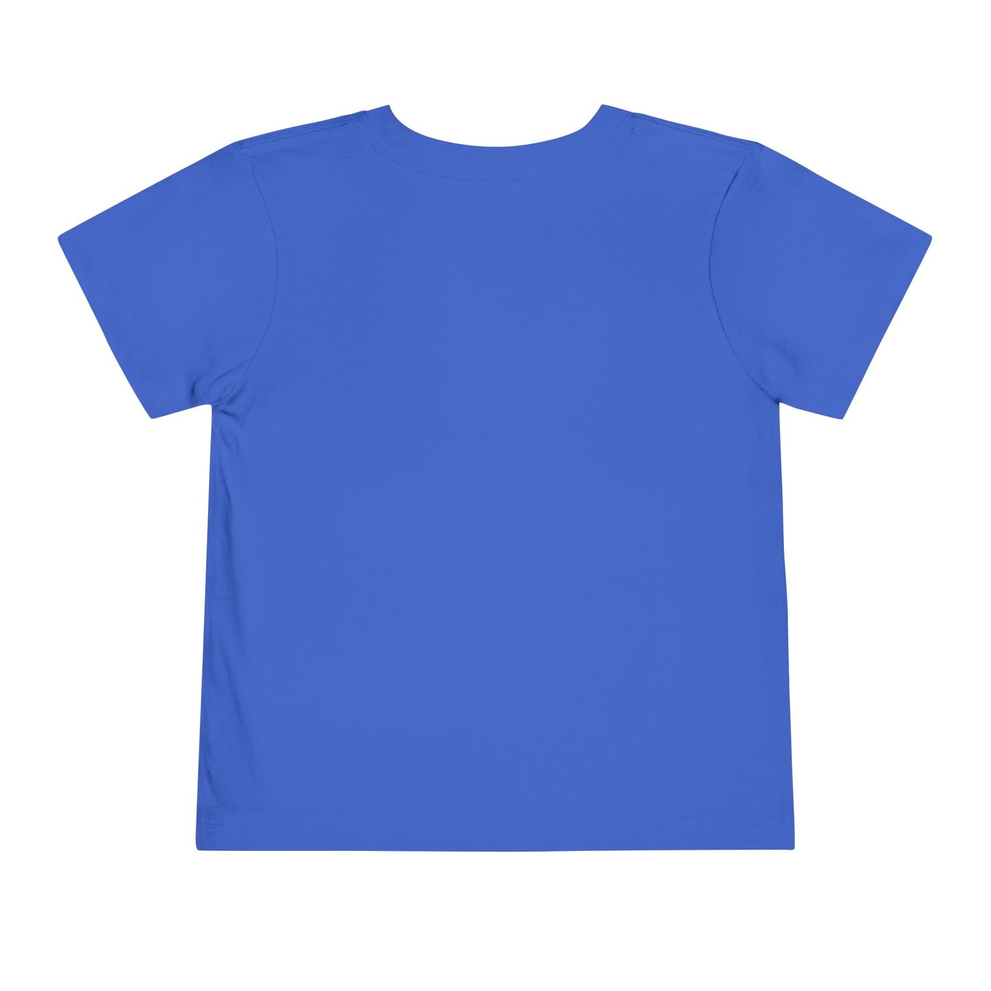 HEIROGLYPH FLAGS - Toddler Short Sleeve Tee