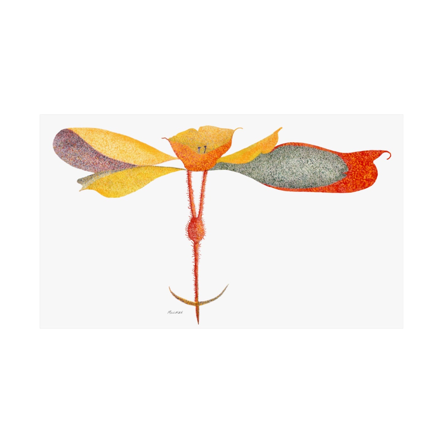 PETALS Matte Horizontal Prints