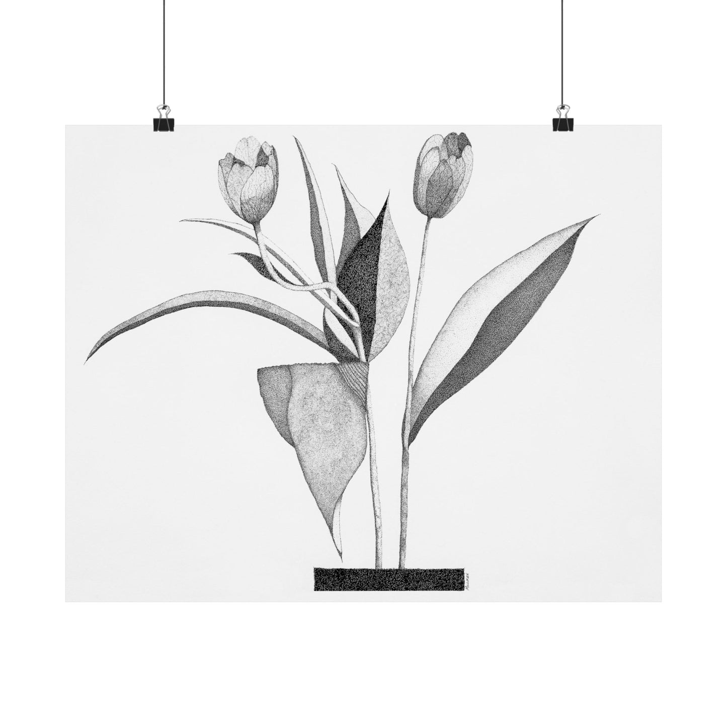 TULIPS-Matte Horizontal Print