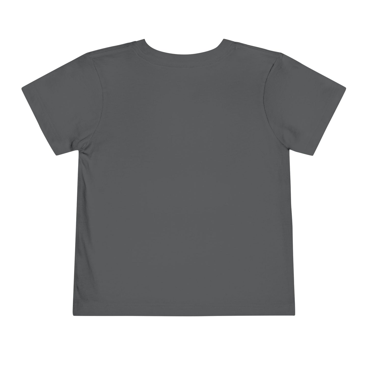 HEIROGLYPH FLAGS - Toddler Short Sleeve Tee