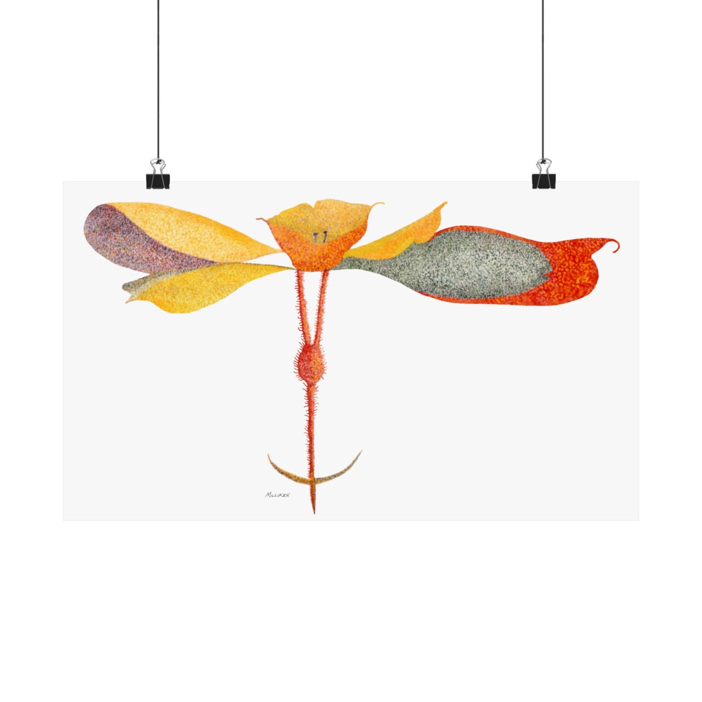 PETALS Matte Horizontal Prints