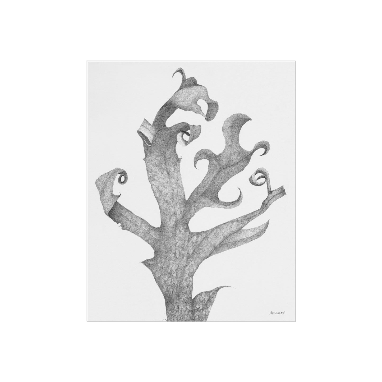 OAK LEAF - Fine Art Print