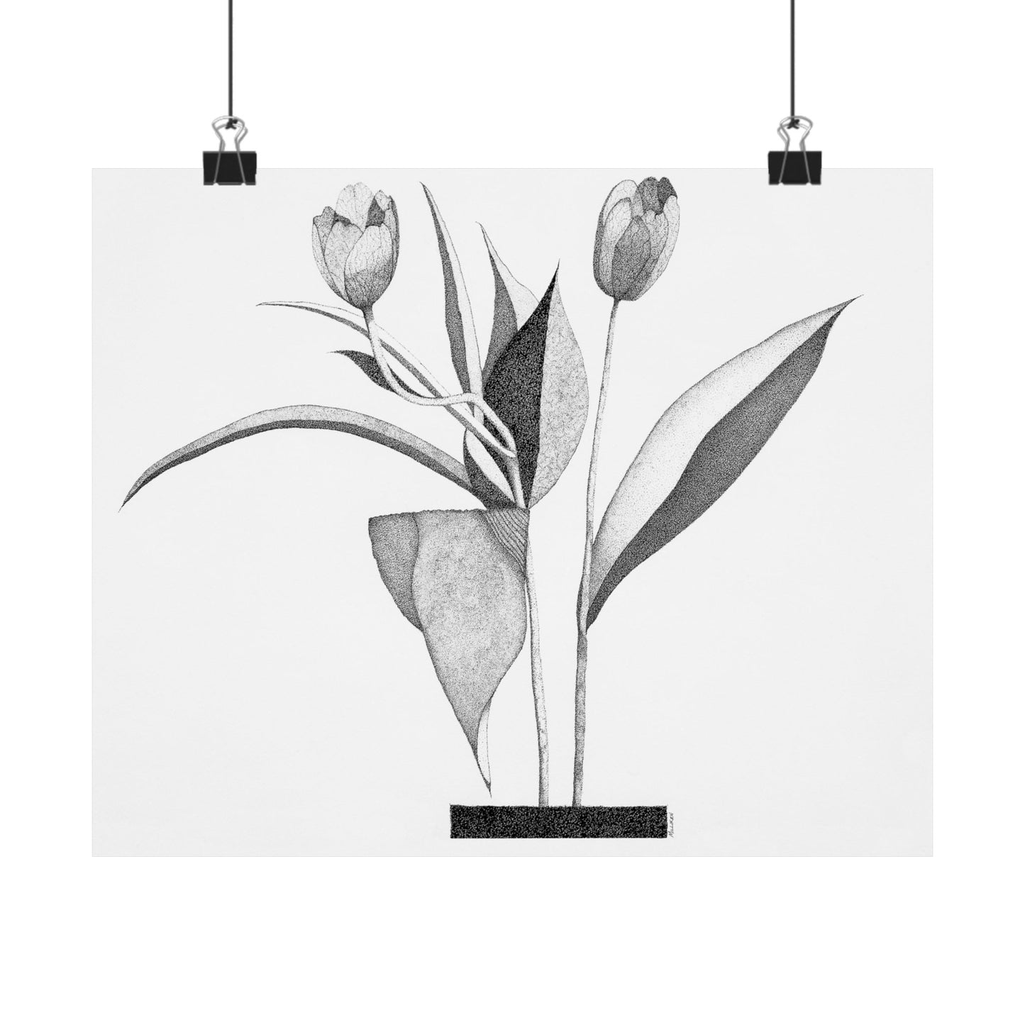 TULIPS-Matte Horizontal Print