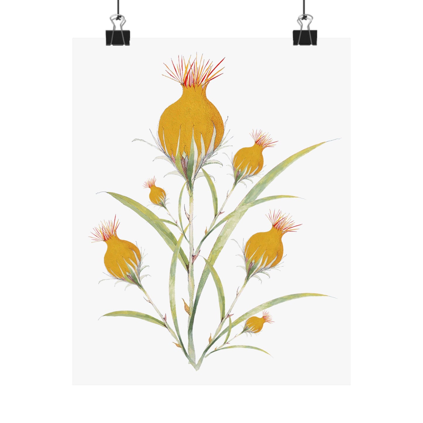 July Bud-Matte Vertical Posters