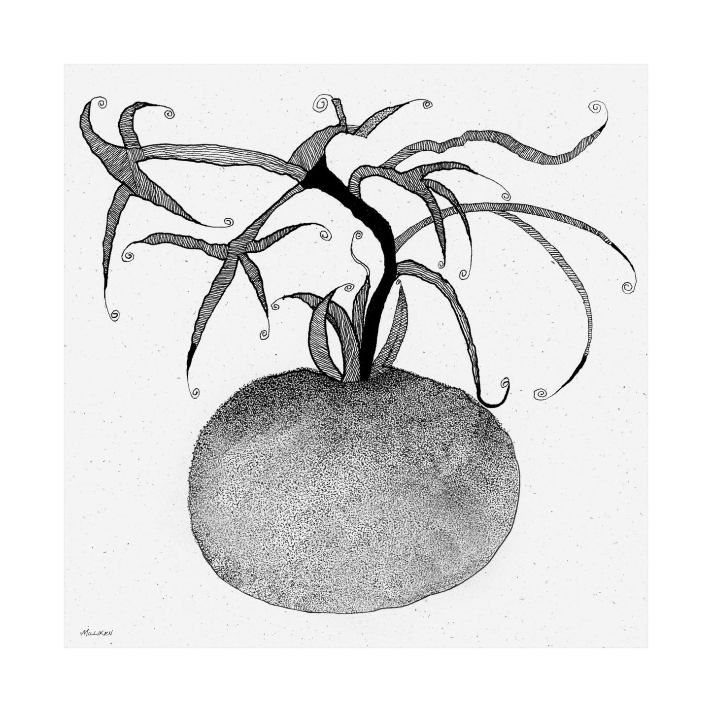YOU SAY TOMATO - Matte Print