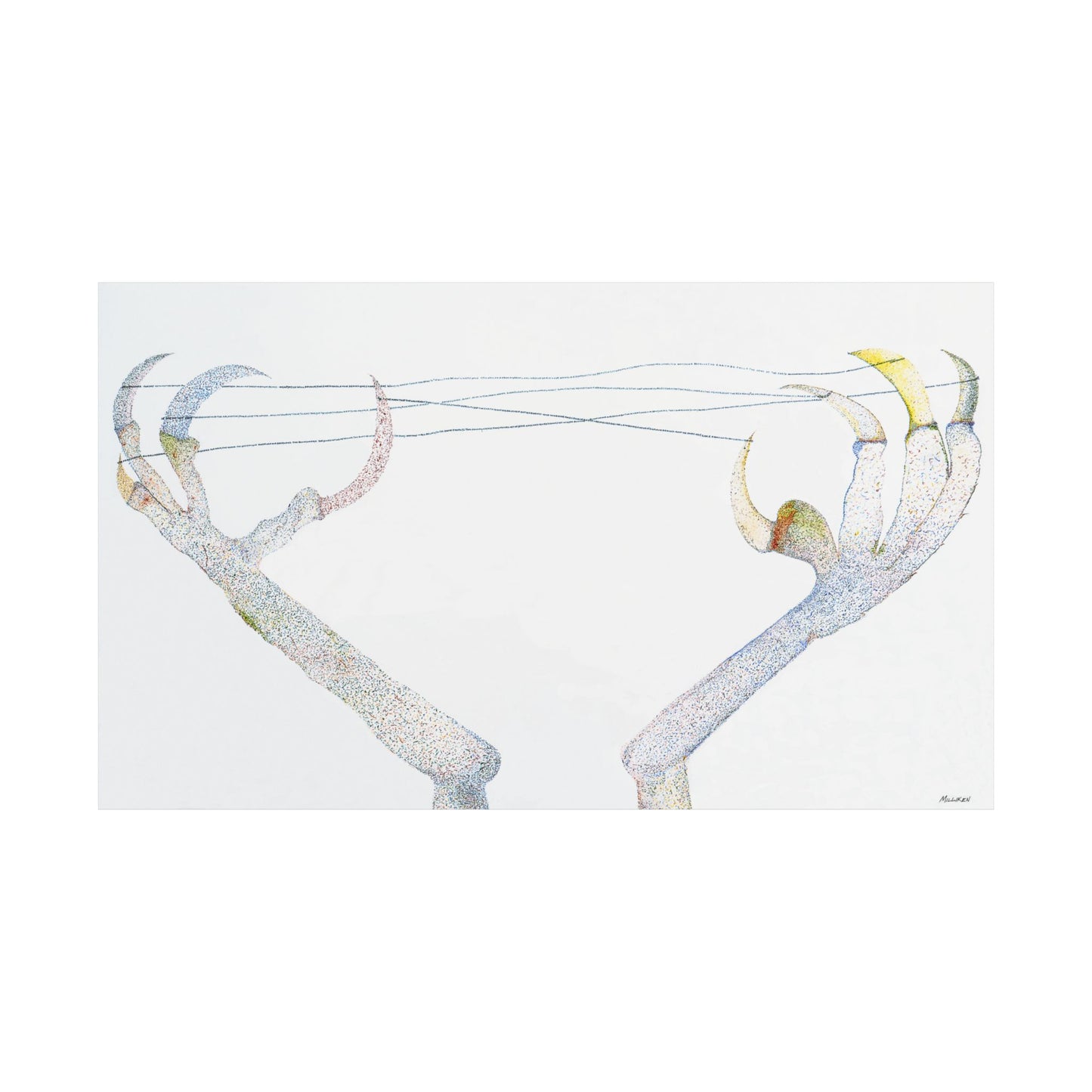 CAT'S CRADLE - Archival Matte Horizontal Print