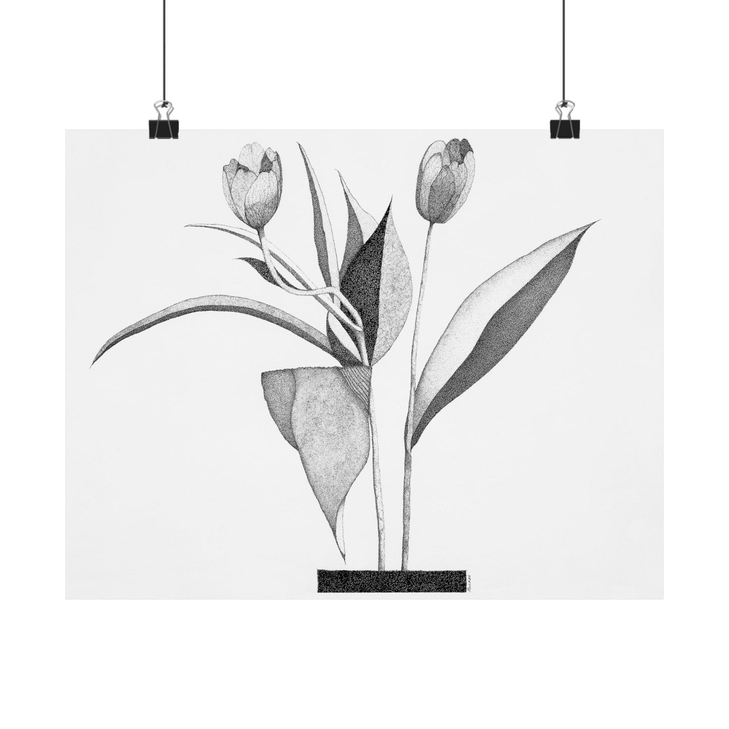 TULIPS-Matte Horizontal Print