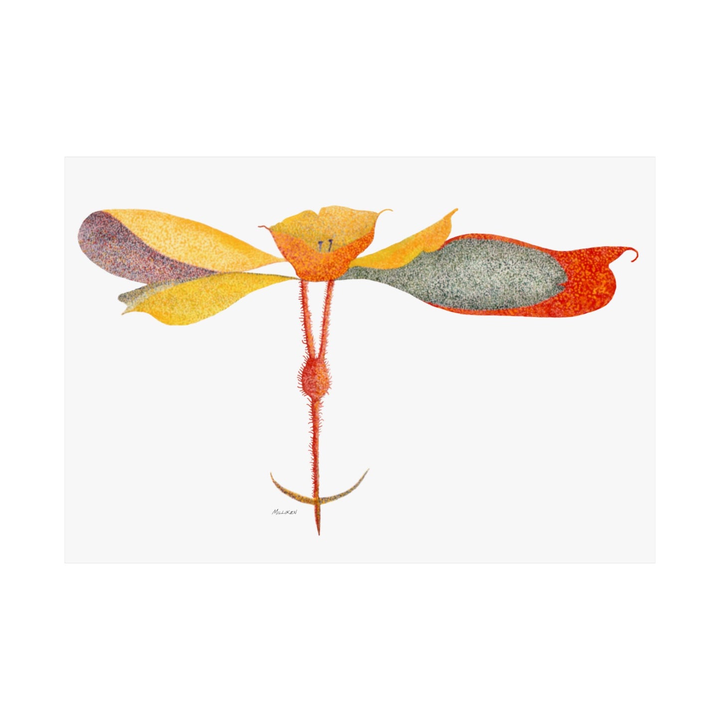 PETALS Matte Horizontal Prints