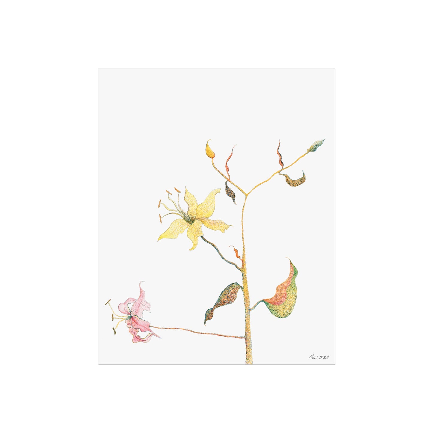 SPRING - Fine Art Print