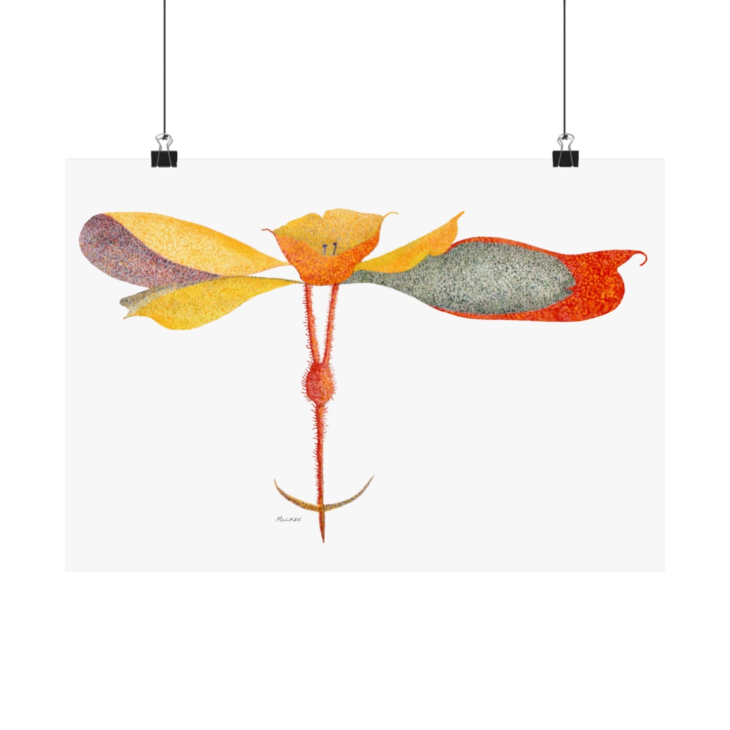 PETALS Matte Horizontal Prints